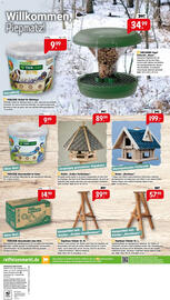 Raiffeisen Markt Prospekt Seite 8