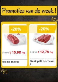 Renmans folder Pagina 2