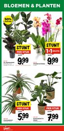 Vomar Voordeelmarkt folder week 44 Pagina 29