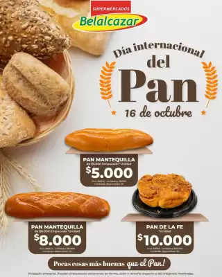 Catálogo Belalcazar (válido hasta 7-11)