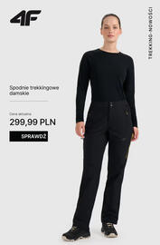 4F gazetka tydzień 43 Strona 11