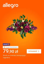 Allegro gazetka tydzień 43 Strona 5