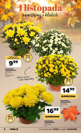 Netto gazetka Strona 6