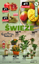Netto gazetka Strona 9