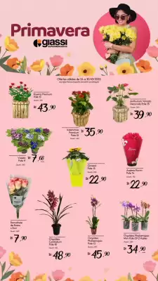 Encarte Giassi Supermercados (válido até 30-10)