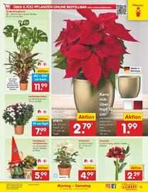Netto Marken-Discount DE folder week 44 Pagina 15