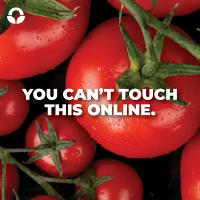 Food Lover's Market catalogue (valid until 30-10)