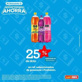 Catálogo Surtimax Página 6