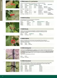 Lagerhaus Flugblatt Seite 24