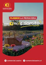 Catálogo Comercial Castro semana 43 Página 18