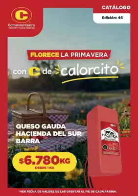 Catálogo Comercial Castro (válido hasta 31-10)