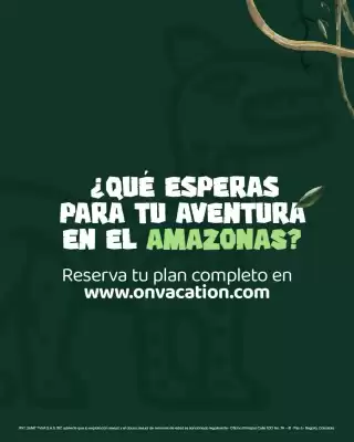 Catálogo On Vacation (válido hasta 31-10)