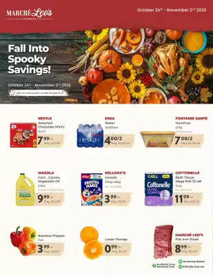 Marche Leo's flyer