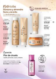 Catálogo Natura Página 167