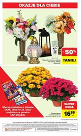 Carrefour gazetka Strona 42