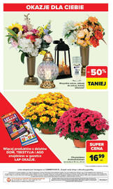 Carrefour gazetka Strona 42