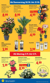 Lidl Flugblatt woche 44 Seite 26
