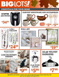 Big Lots weekly ad week 43 Page 3