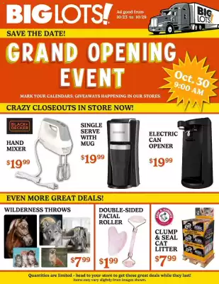 Big Lots weekly ad (valid until 29-10)