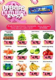 Catálogo Supermercados Pague Menos Página 4