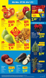 Lidl Prospekt woche 44 Seite 3