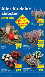 Lidl Prospekt woche 44 Seite 21