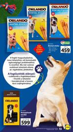 Lidl akciós újság Oldal 13