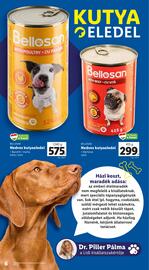 Lidl akciós újság Oldal 6
