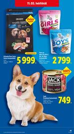 Lidl akciós újság hét 44 Oldal 45
