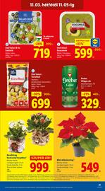 Lidl akciós újság hét 44 Oldal 51