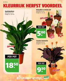 Poiesz folder week 44 Pagina 34