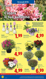 Volantino Lidl settimana 44 Pagina 42