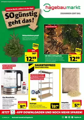 Hagebau Prospekt (gültig bis 1-11)
