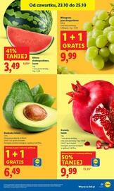 Lidl gazetka Strona 33