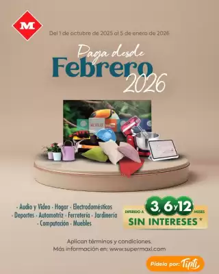 Catálogo Megamaxi (válido hasta 6-11)