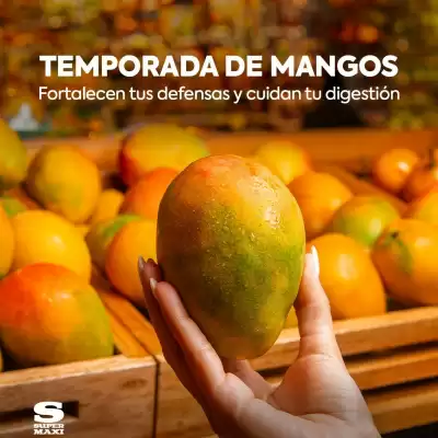 Catálogo Supermaxi (válido hasta 7-11)