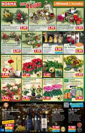 Norma Prospekt woche 45 Seite 14