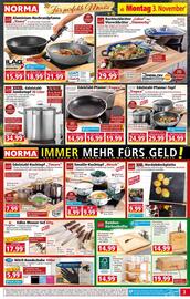 Norma Prospekt woche 45 Seite 3