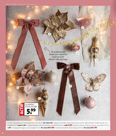 Intratuin folder Pagina 6