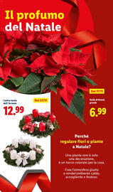 Volantino Lidl Pagina 86