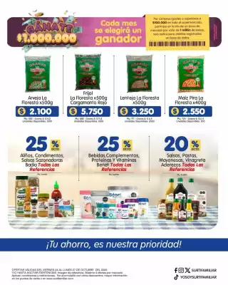 Catálogo Surtifamiliar (válido hasta 8-11)