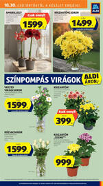 ALDI akciós újság hét 44 Oldal 11