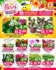 Catálogo Supermercados Gricki Página 1