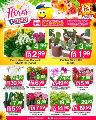 Catálogo Supermercados Gricki (válido até 28-10)