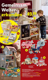 Lidl Flugblatt Seite 10