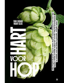 Albert Heijn folder Pagina 35