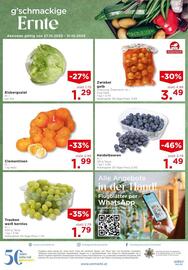 Unimarkt Flugblatt woche 44 Seite 16