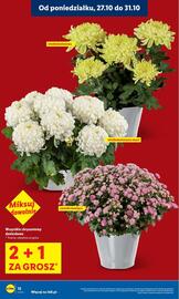 Lidl gazetka Strona 12