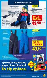 Lidl gazetka Strona 17