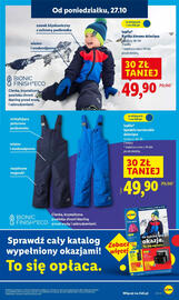 Lidl gazetka Strona 17